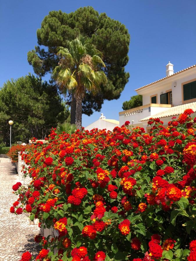 Algarve Albufeira, Quiet Apart With Pool At 10 Mn Walk From Praia Da Falesia Olhos de Agua  Luaran gambar